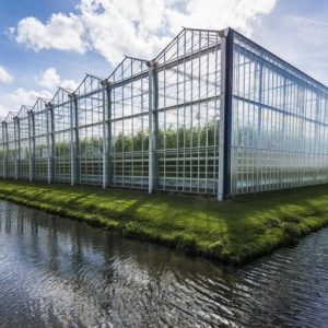 12*24m Greenhouse